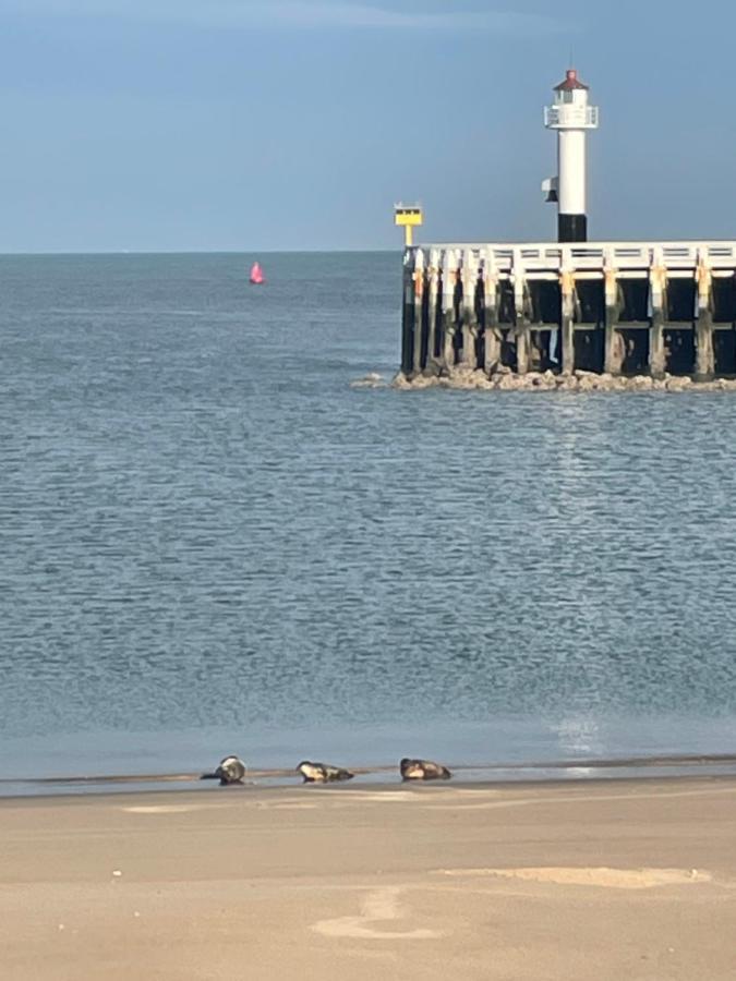 Seaview Penthouse Oostende Εξωτερικό φωτογραφία